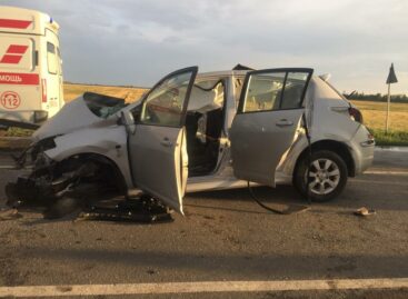 В Сальском районе в автомобильной аварии одна пассажирка погибла и 11 человек пострадали