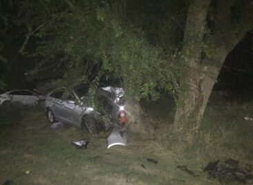 Ночью 30 августа на окраине Сальска водитель «Сонаты» врезался в дерево