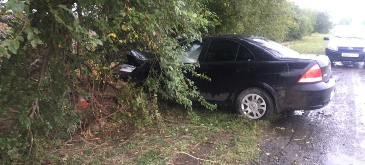 В Сальском районе водитель погиб, врезавшись на иномарке в дерево