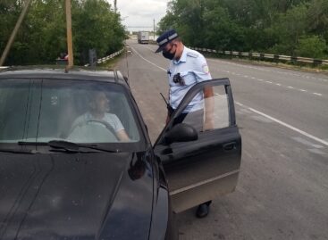 На дорогах Сальского района водителей проверяют на трезвость