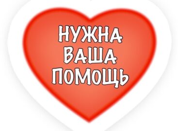 Срочно нужна кровь для женщины, находящейся в паллиативном отделении