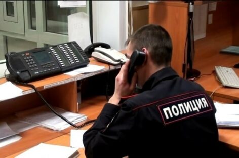 Сальчанин хотел приобрести котёнка породы мейн-кун, а в результате потерял деньги
