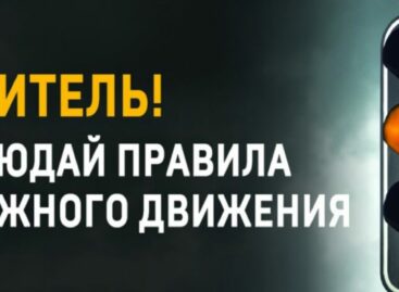 Сальчан призывают соблюдать правила дорожного движения