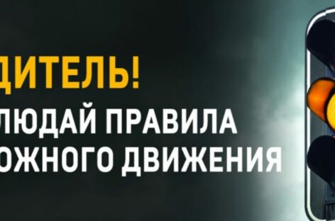 Сальчан призывают соблюдать правила дорожного движения