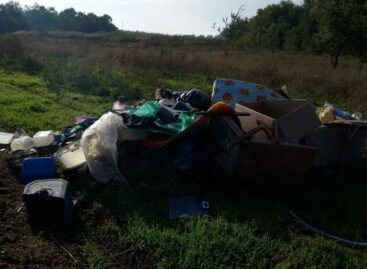 В районе Кучерды в Сальске кто-то вывалил гору мусора