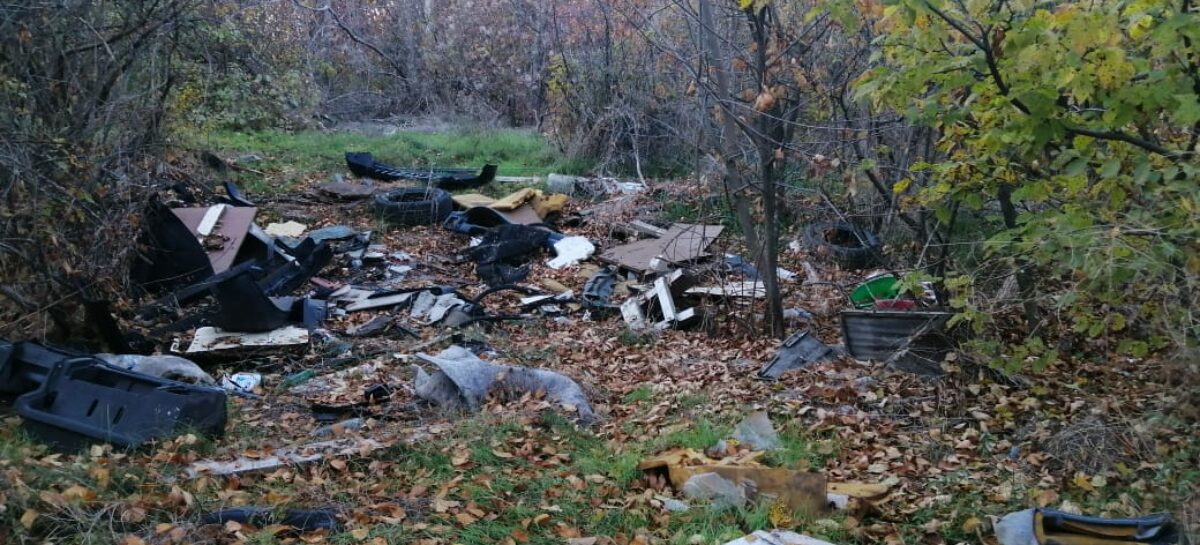 Городские власти обращаются к сальчанам с просьбой не устраивать несанкционированные свалки
