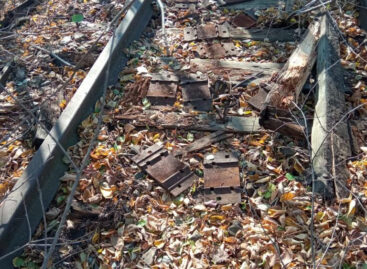 В Миллерово транспортные полицейские выявили подозреваемых в краже