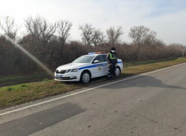 В Сальском районе ко Дню памяти жертв ДТП прошла акция «Не дай трагедии повториться!»
