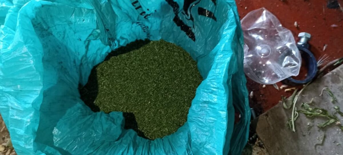 На Дону транспортные полицейские изъяли из незаконного оборота наркотики в крупном размере