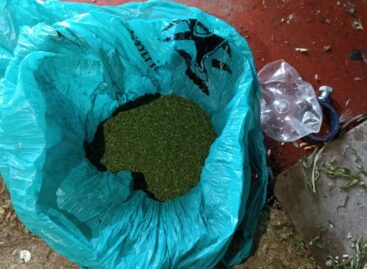 На Дону транспортные полицейские изъяли из незаконного оборота наркотики в крупном размере