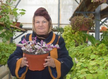 Жительница посёлка Гигант знает, как с помощью растений украсить окружающее пространство и поднять настроение