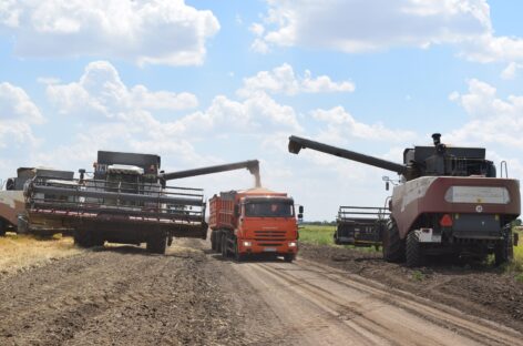 Аграрии Сальского района могут получить господдержку