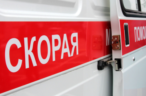 В аварии в Сальском районе пассажирка получила черепно-мозговую травму