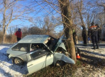 В Сальском районе «восьмёрка» врезалась в дерево
