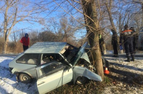 В Сальском районе «восьмёрка» врезалась в дерево