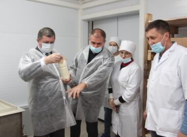 Сальский район с рабочим визитом посетил глава Минсельхозпрода Дона Константин Рачаловский