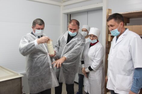 Сальский район с рабочим визитом посетил глава Минсельхозпрода Дона Константин Рачаловский