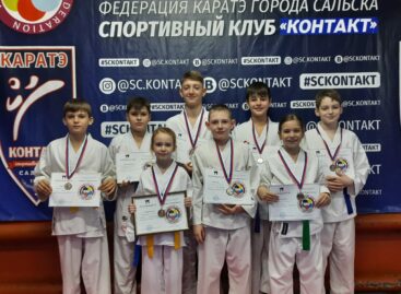 В Аксае состязались лучшие каратисты Сальска