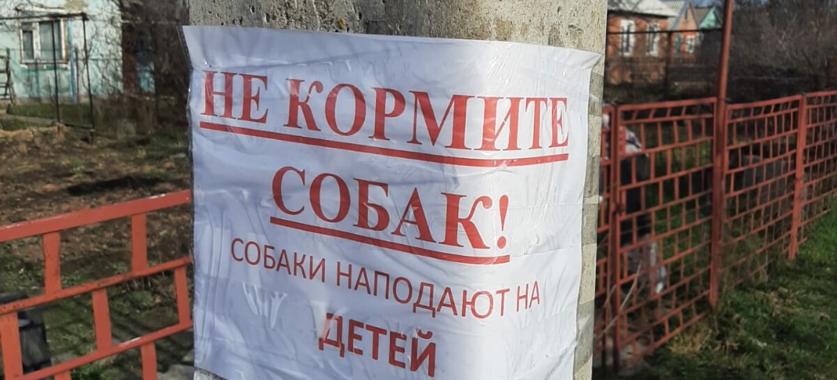 В Сальске появились объявления, призывающие не кормить бездомных собак