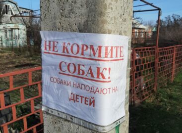 В Сальске появились объявления, призывающие не кормить бездомных собак