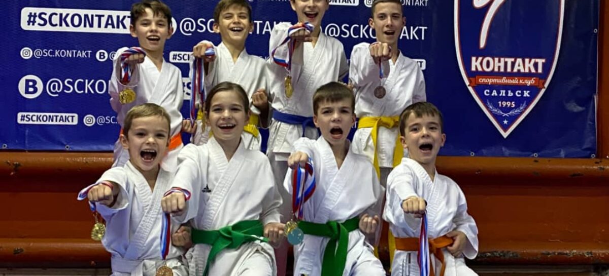 В Донецке Ростовской области состоялся открытый турнир по каратэ WKF