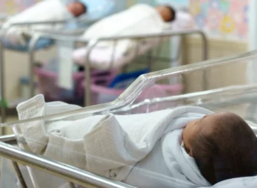 В 2022 году в Сальском районе первой родилась крепенькая девочка