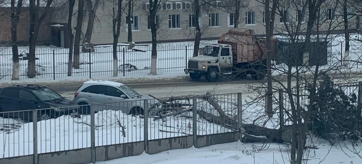 Из-за штормового ветра в Сальском районе падали деревья и рвались провода