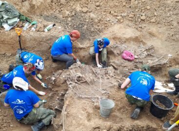 В рамках судебного заседания донские поисковики рассказали о страшных находках в Сальске и Миллеровском районе