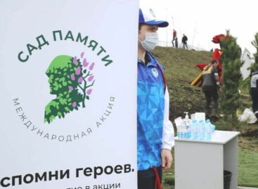 Стартовала международная акция «Сад памяти»