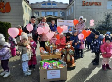 Малыши сальского детского сада «Белочка» помогают бездомным животным