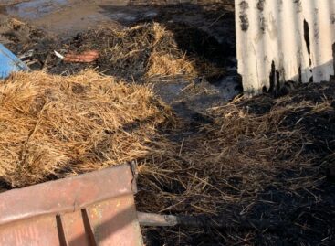 Специалисты выясняют, почему в одном из дворов Сандаты загорелась солома