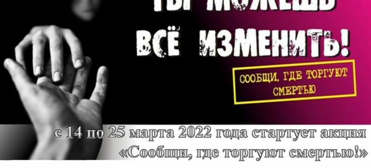 На Дону стартовала акция «Сообщи, где торгуют смертью!»