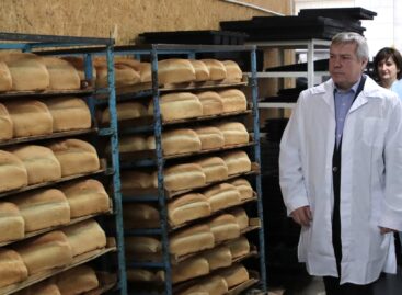 Чтобы зафиксировать цену на хлеб, в Ростовской области хотят создать резервный фонд зерна