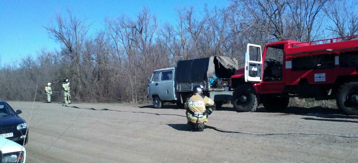 В Сальском районе ликвидировали условный пожар в лесном массиве