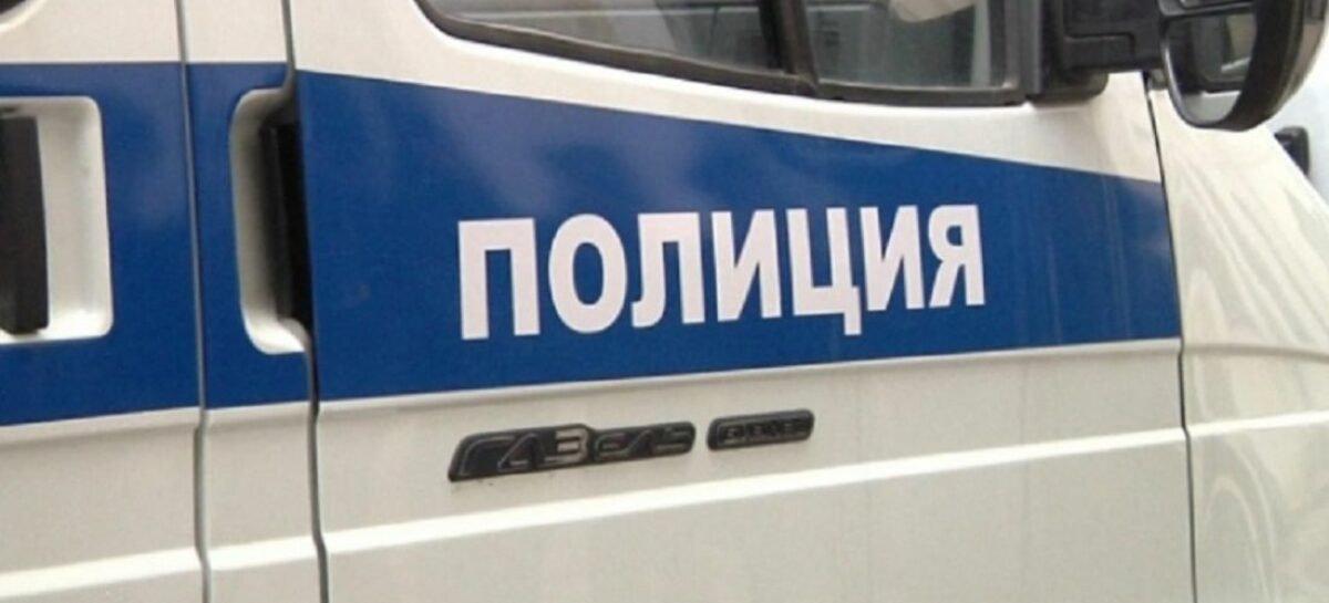В Сальском районе с молочнотоварной фермы увели двух коров