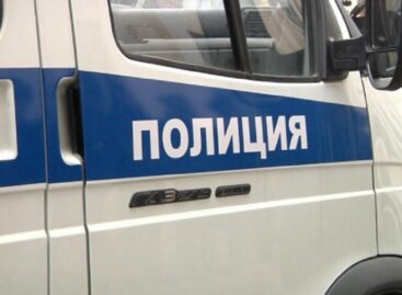 В Сальском районе с молочнотоварной фермы увели двух коров