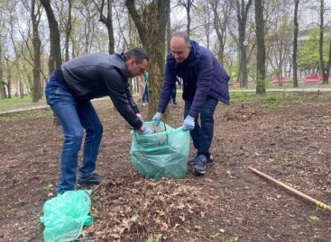 Месячник чистоты в Ростовской области завершился масштабным субботником