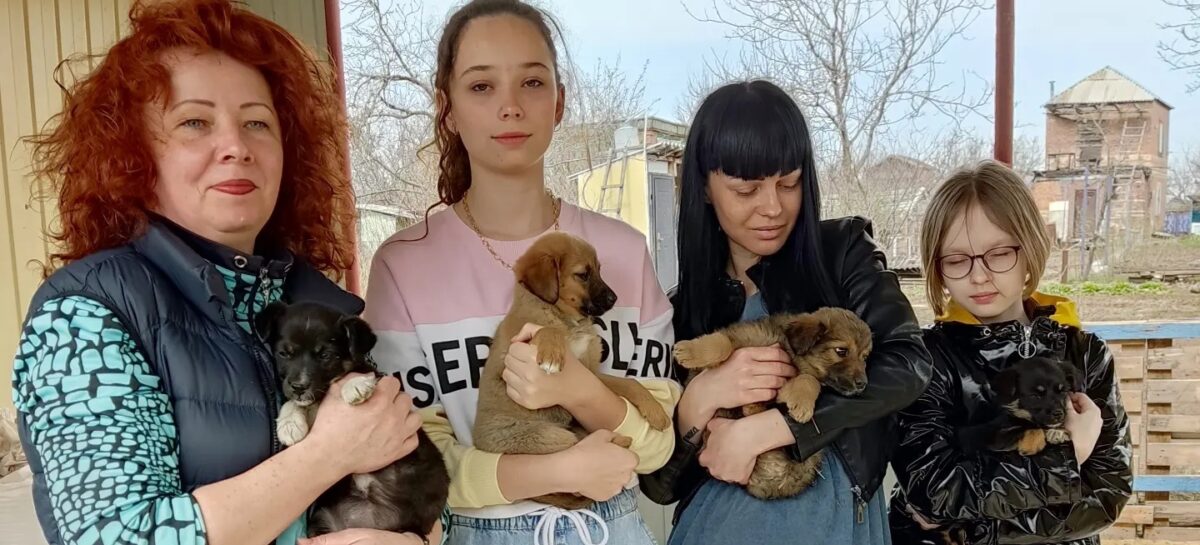 Сальчанки побывали в гостях у волонтёров и их подопечных — бездомных животных