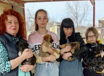 Сальчанки побывали в гостях у волонтёров и их подопечных — бездомных животных