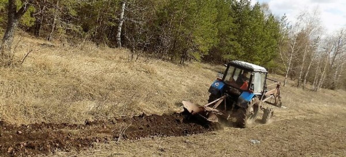 До особого противопожарного режима нужно закончить плановые выжигания сухой растительности