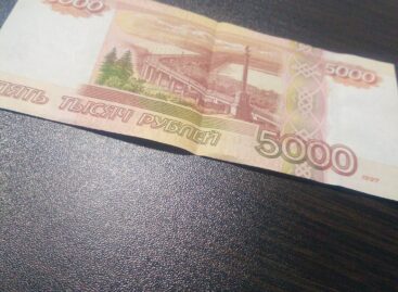 Сальчанин получил взятку за сокрытие факта экстренного торможения