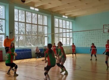 В Сальском районе студенты приняли участие в зональном этапе спартакиады среди профорганизаций