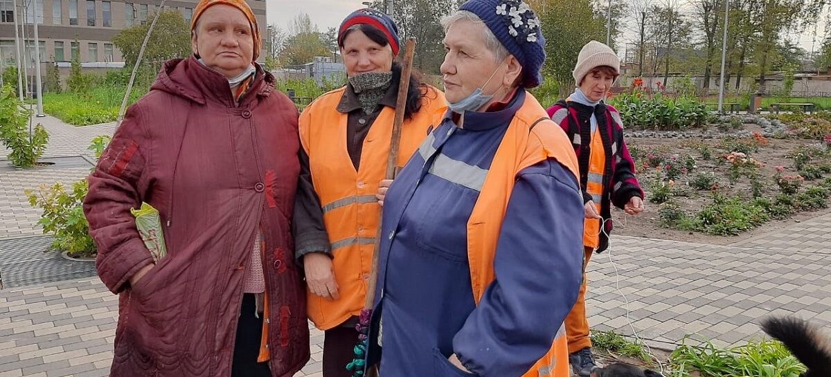 Кто отвечает за чистоту и порядок на улицах Сальска