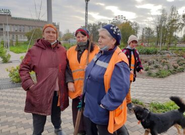 Кто отвечает за чистоту и порядок на улицах Сальска