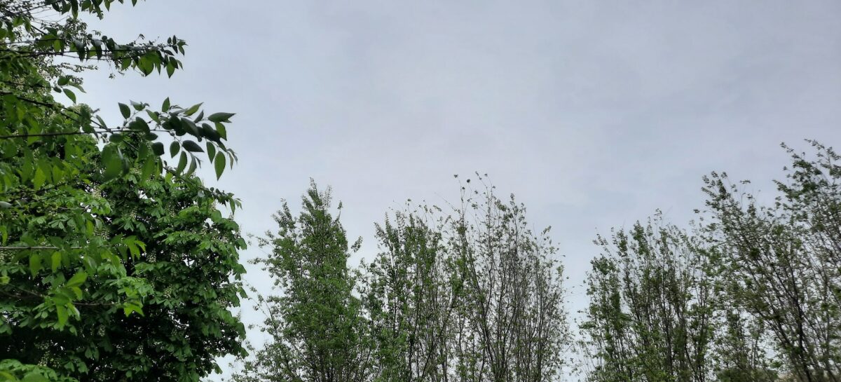 Что произошло в небе над Сальском?