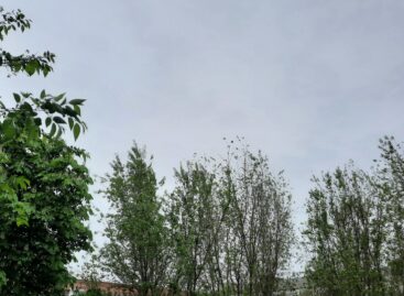 Что произошло в небе над Сальском?