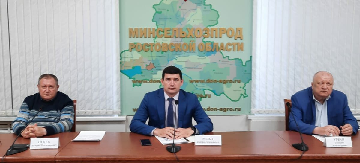 Овощи в Ростовской области сеют  проверенными семенами