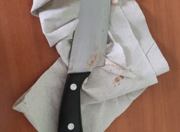 В Сальске женщина набросилась с ножом на мужчину