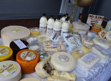 В Сальске заработало новое предприятие по производству молочной продукции