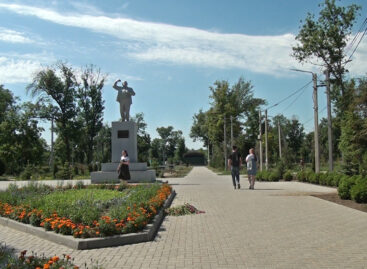 Плитку кладут и берегут все, что посажено. В парке Гиганта идет реконструкция